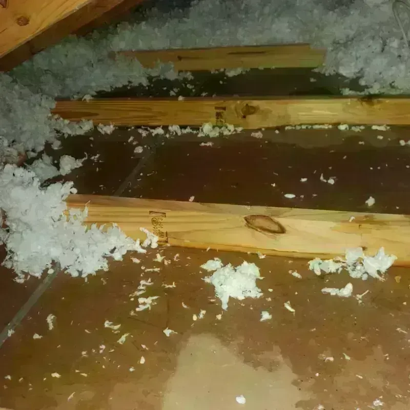 Attic Water Damage in La Palma, CA